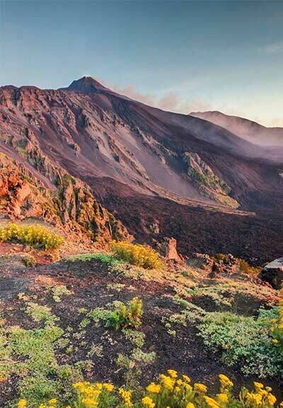 SUMMER 2026 Catania &amp; Mt. Etna - Summer One Day Fully Guided Excursion