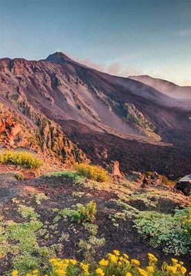 SUMMER 2026 Catania &amp; Mt. Etna - Summer One Day Fully Guided Excursion