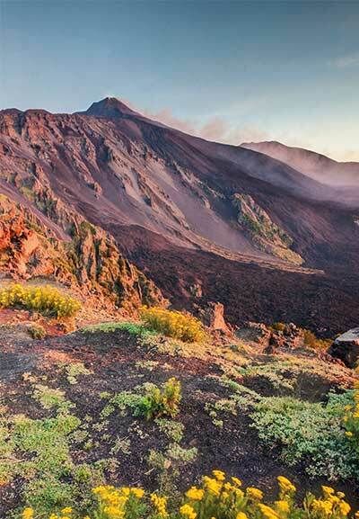 SUMMER 2026 Catania &amp; Mt. Etna - Summer One Day Fully Guided Excursion