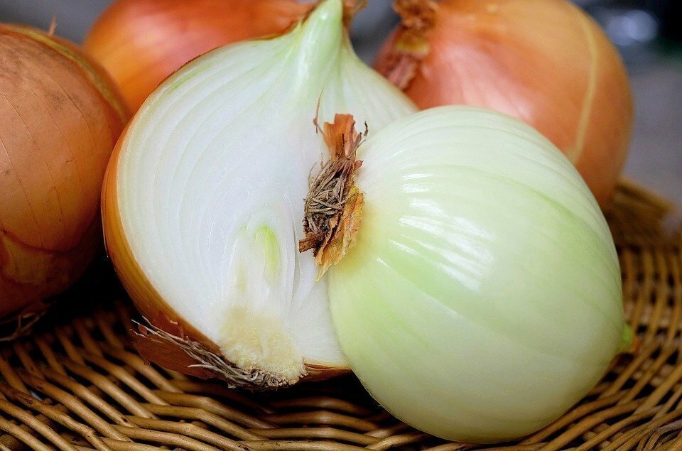 Cebolla Blanca