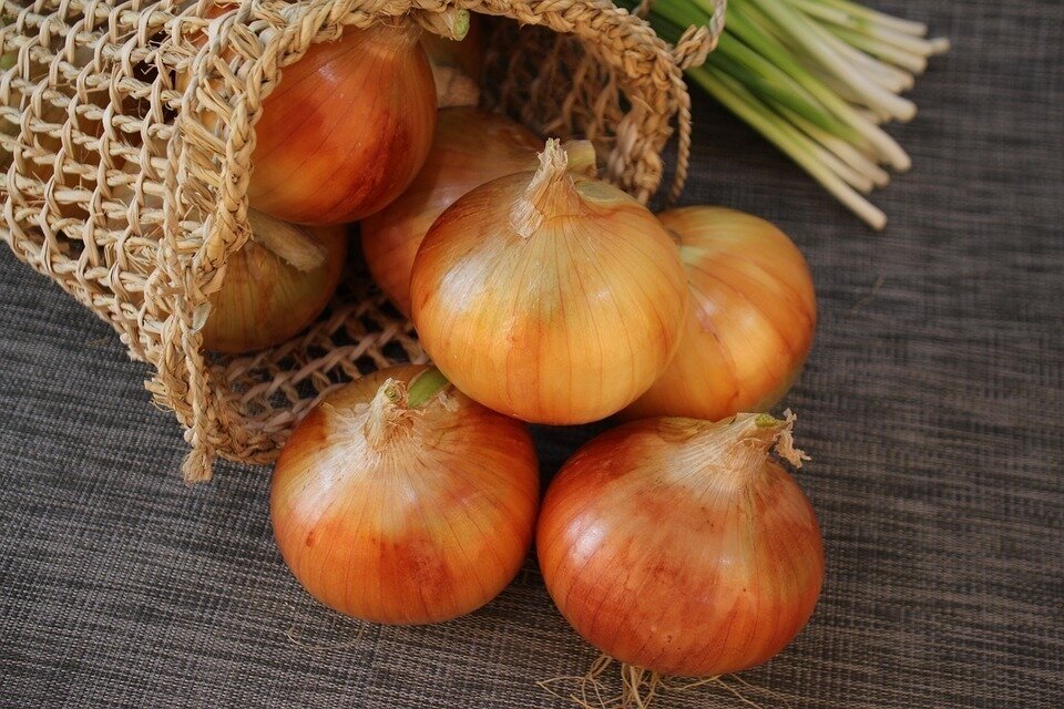 Cebolla Francesa