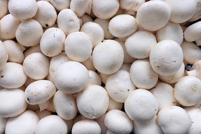 Champiñón Blanco Granel