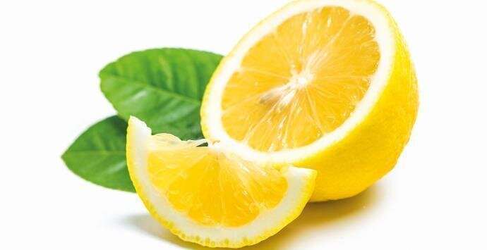 Limón