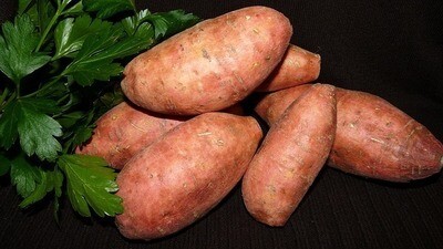Batata