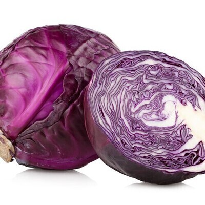 Lombarda