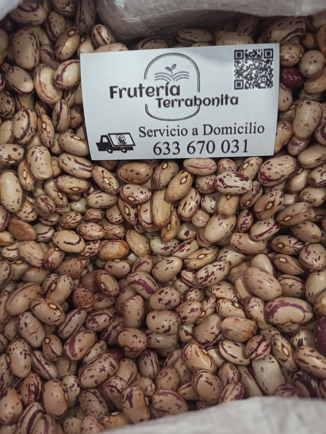 Alubia Pinta de León