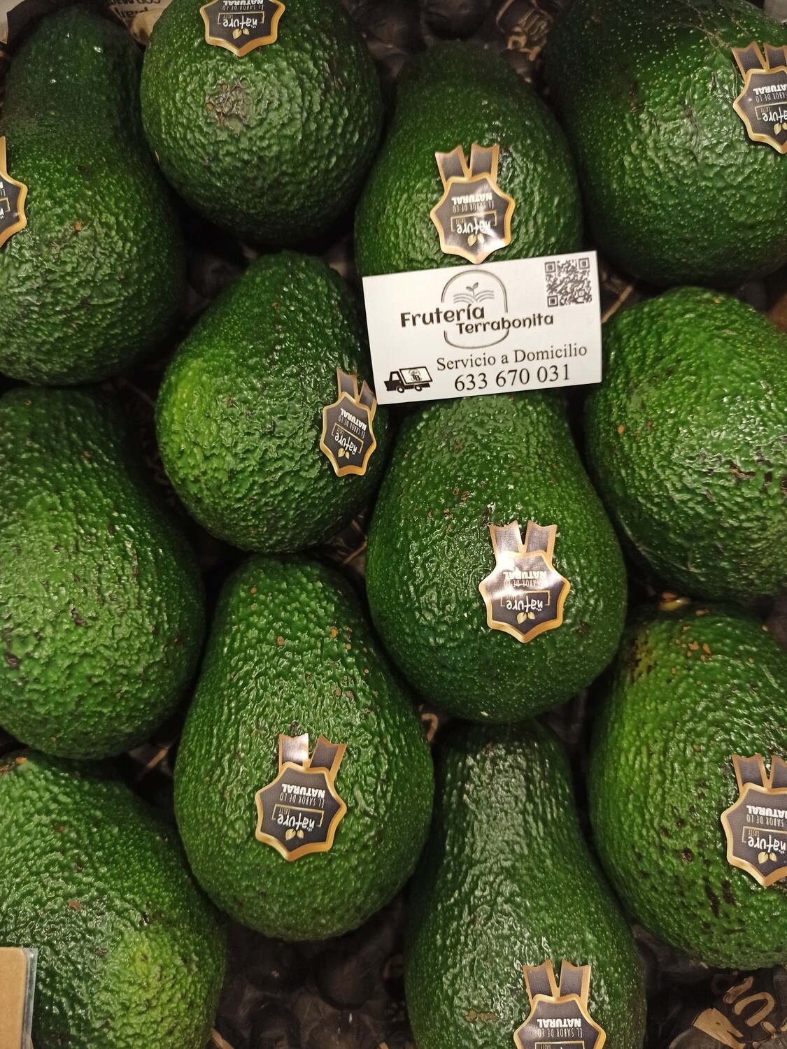 Aguacate Hass