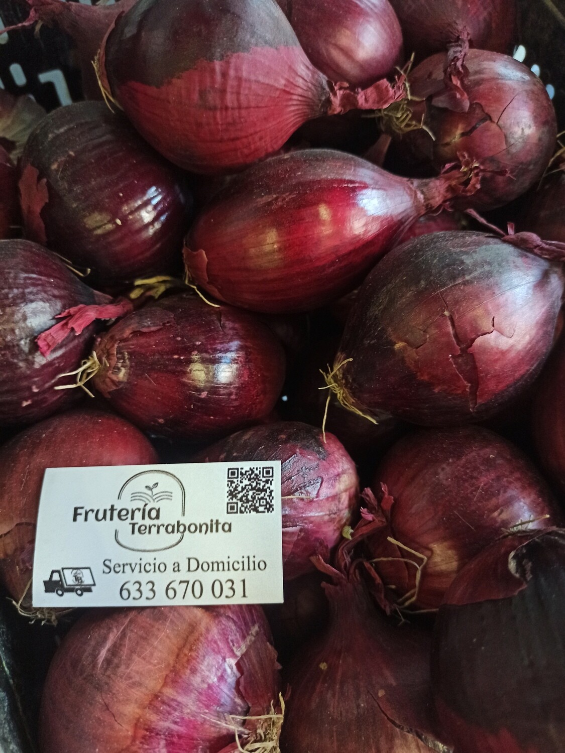 Cebolla Roja