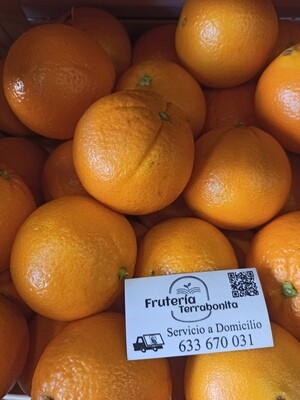 Naranja Mesa Premium 
