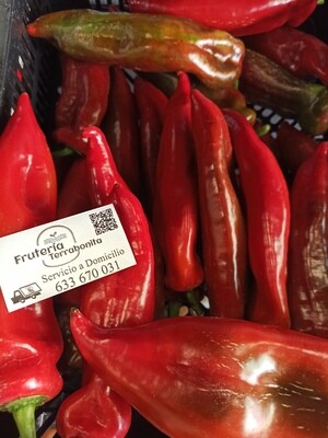 Pimiento Palermo