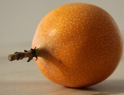 Granadilla
