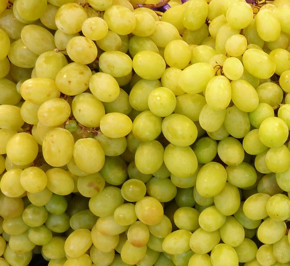 Uva Blanca Sin Pepitas