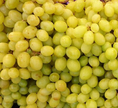 Uva Blanca Sin Pepitas
