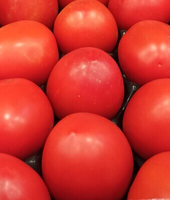 Tomates Pera