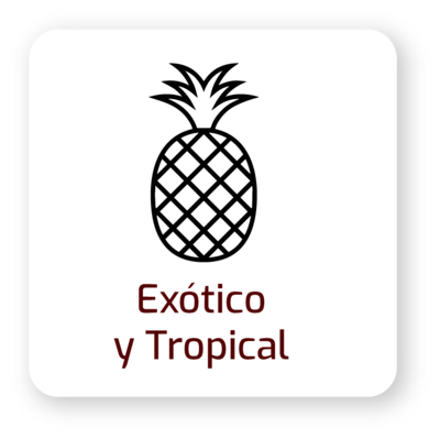 Exótico y Tropical