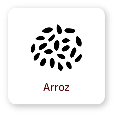 Arroz
