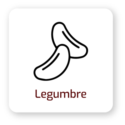 Legumbre