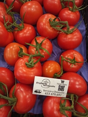 Tomate Rama