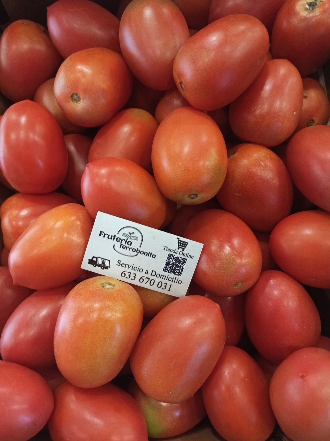 Tomate Pera Extra