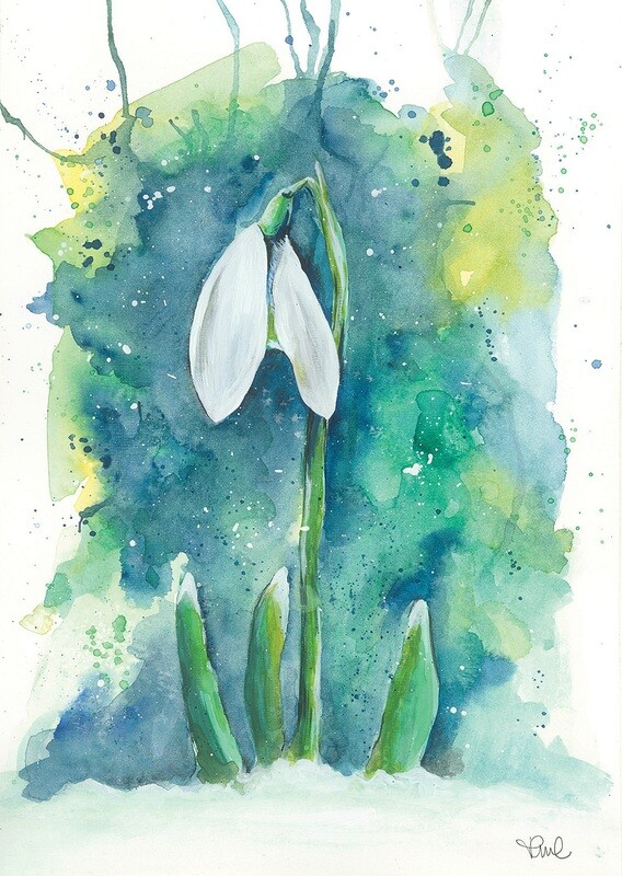 Snowdrop A4 Original