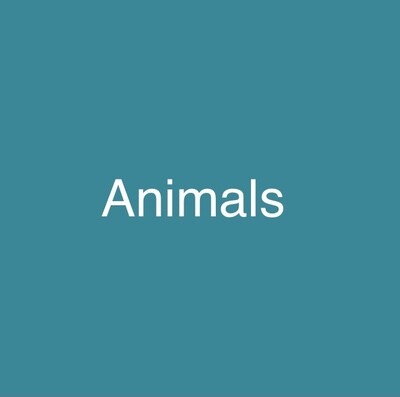 Animals