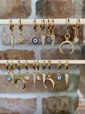Earrings