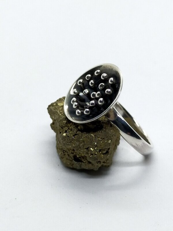 Anillo de plata