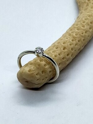 Anillo de plata