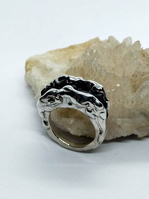 Anillo de plata