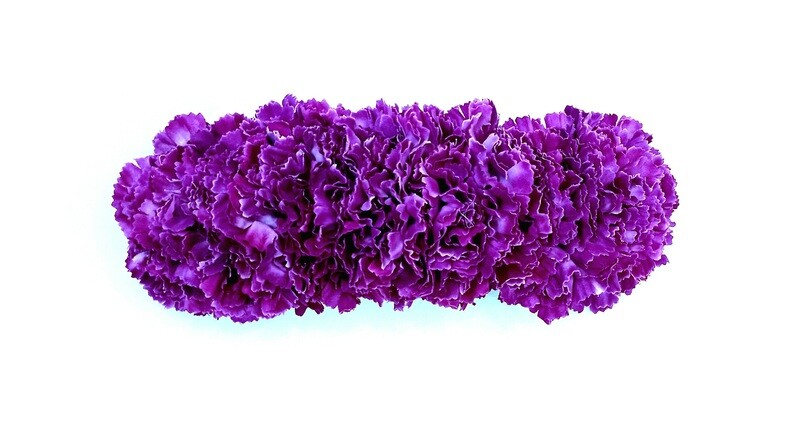 Diadema de claveles buganvilla