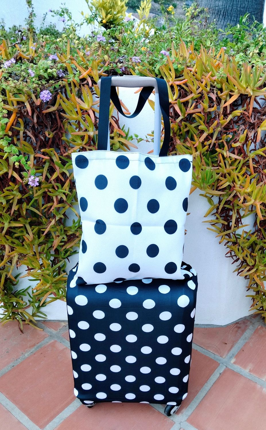 Funda de maleta y bolsa