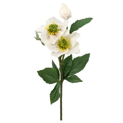 Растение искусственное Хелеборус белый 40 см