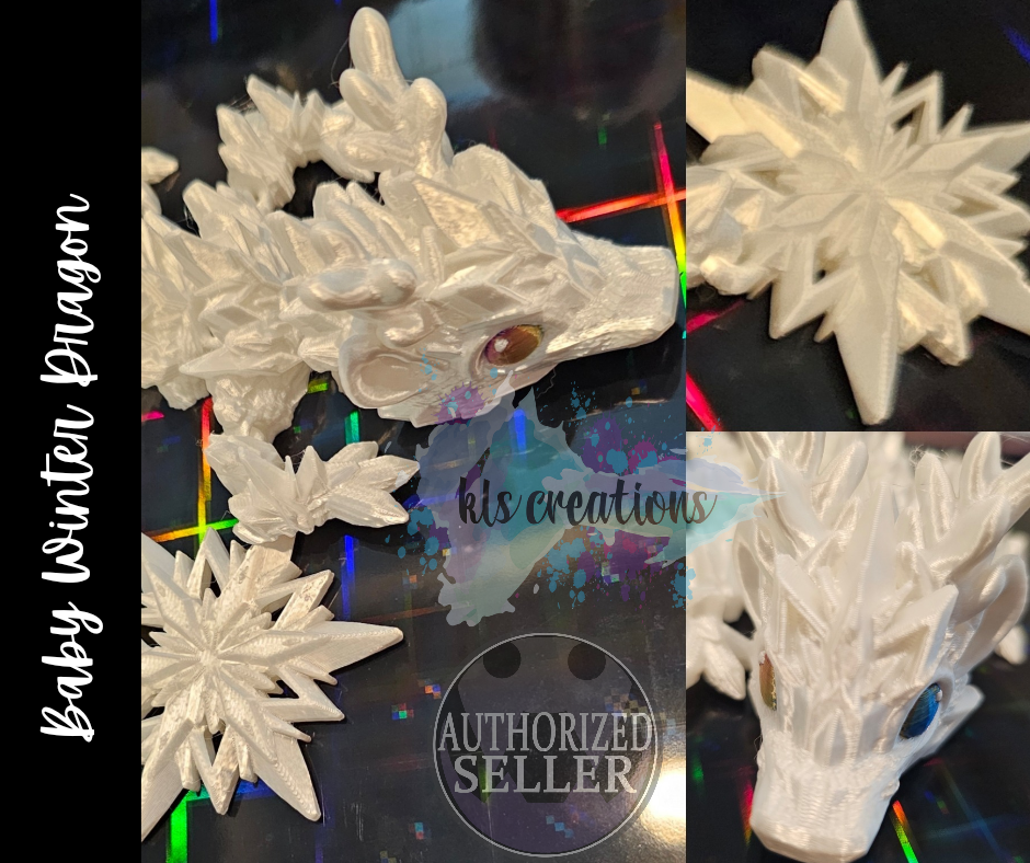 Baby Winter Dragon