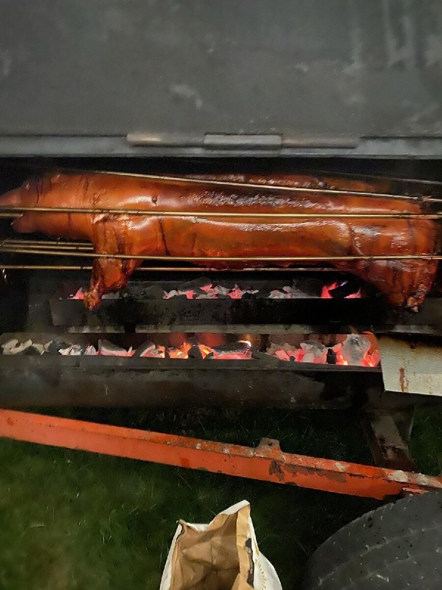 Pig "Traditional"