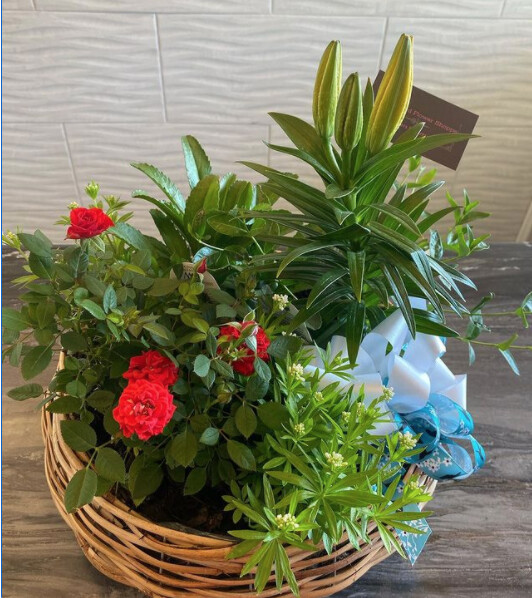 Garden Planter