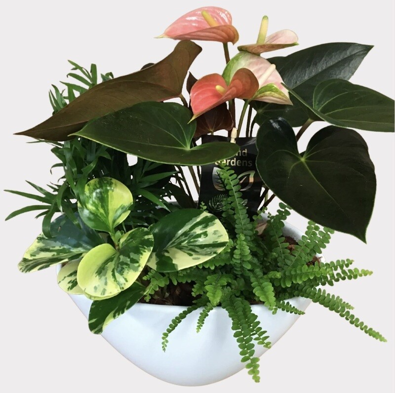 Mixed Ceramic Planter
