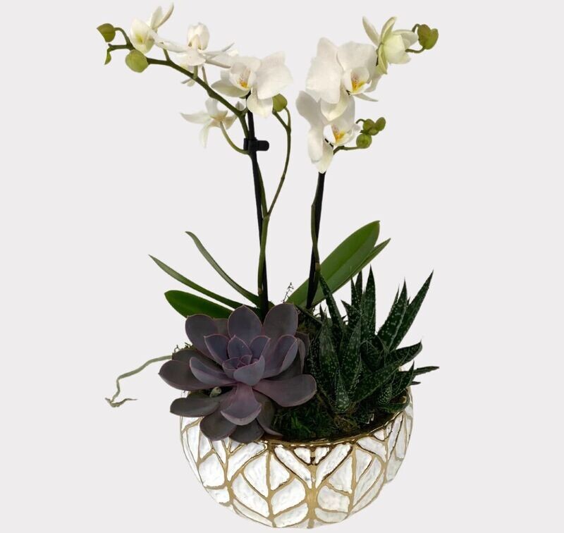 Gold Leaf Succulents and Orchids