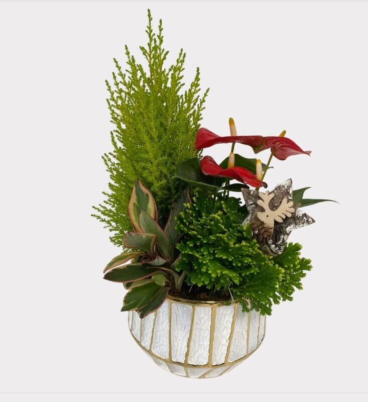 Winter Wonderland Winter Wonderland