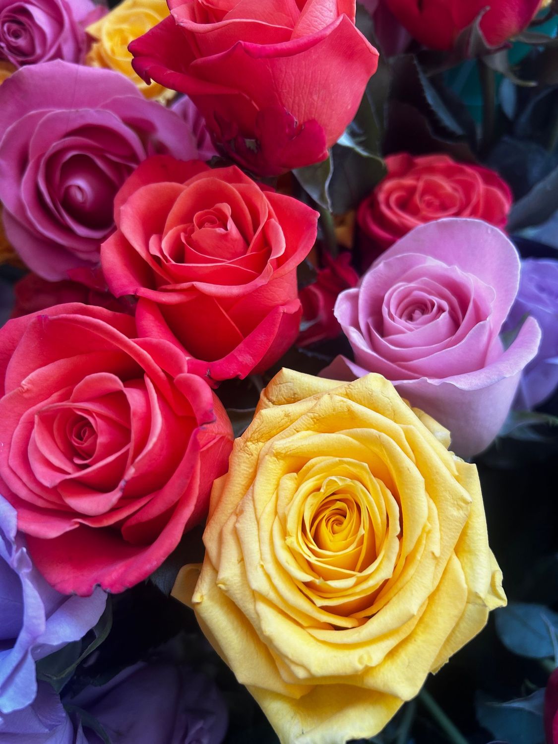 Mother's Day One Dozen Roses Mother's Day One Dozen Roses