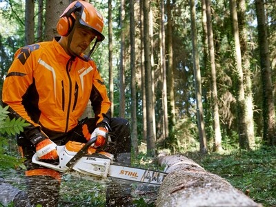 Motorsägenkurs / - führerschein für Brennholzselbstwerber