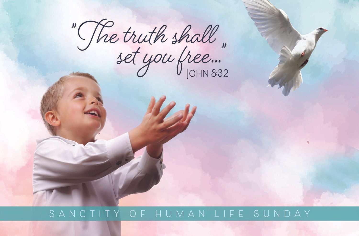 2025 Sanctity of Human Life Sunday Bulletin Inserts (Qty/100)