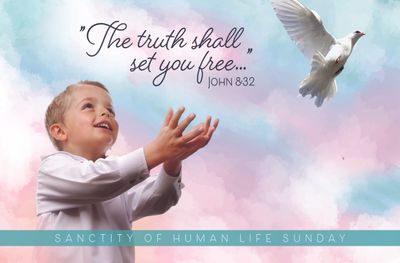 2025 Sanctity of Human Life Sunday Bulletin Inserts (Qty/100)