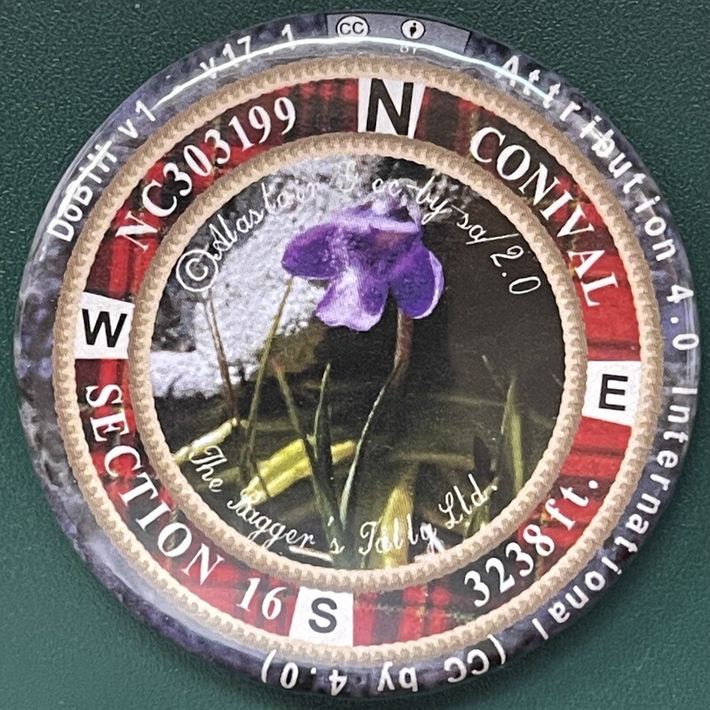 Conival Section 16