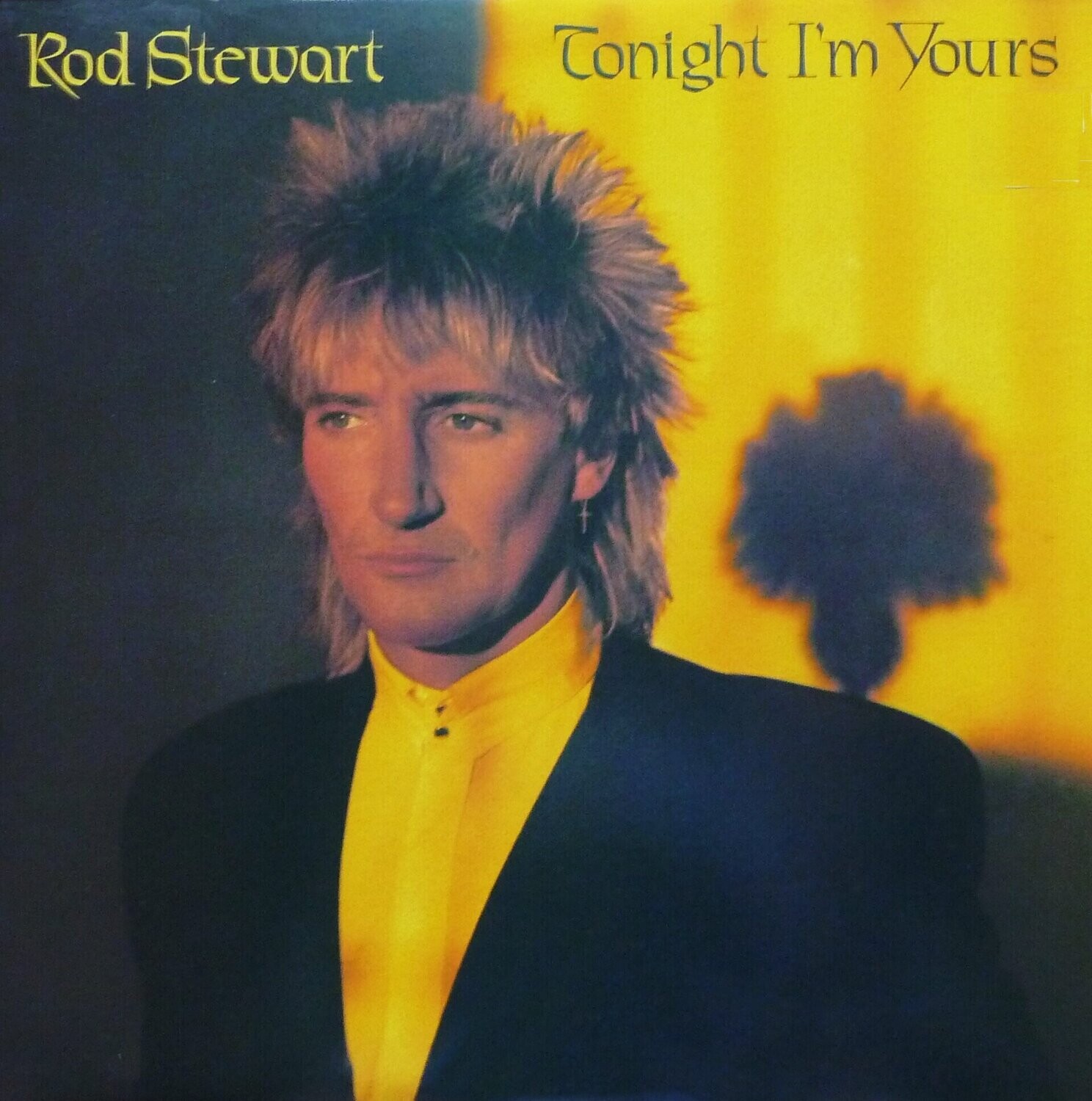 Rod Stewart - Tonight I'm Yours (1981)