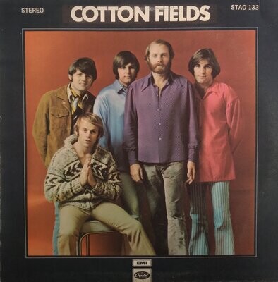 The Beach Boys – 20/20 (Cottonfields) 1969 [Gatefold]