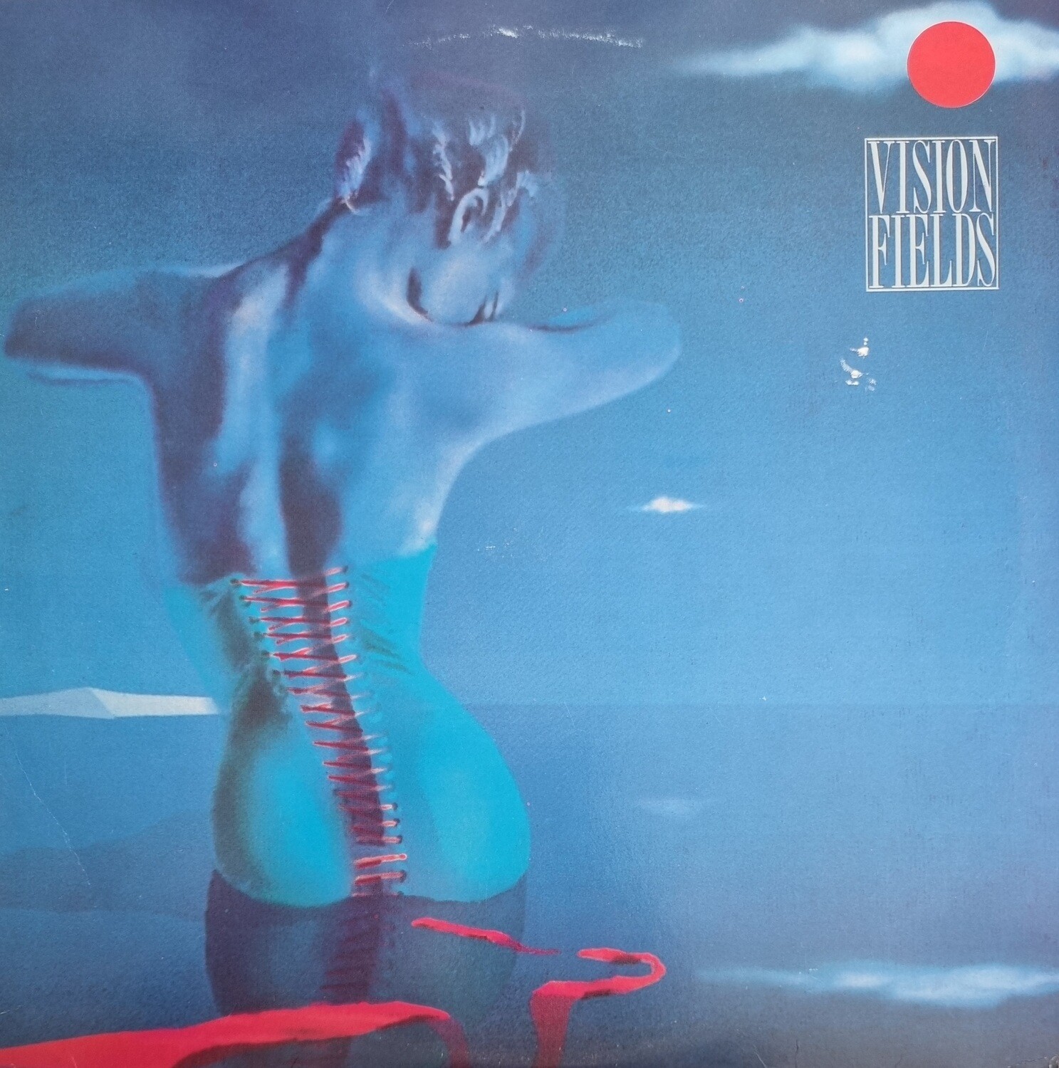 Vision Fields – Vision Fields