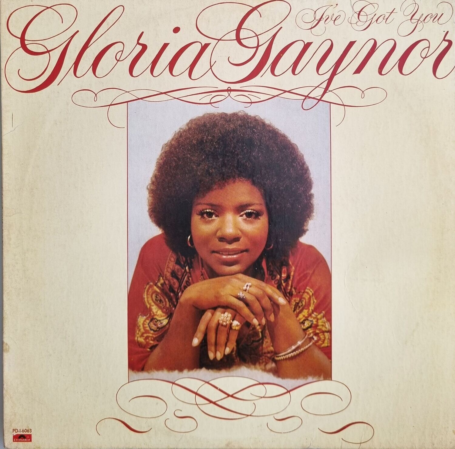 Gloria Gaynor – I've Got You (1976)