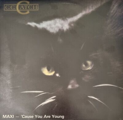 C.C. Catch – 'Cause You Are Young [12", 33 ⅓ RPM, Maxi-Single]
