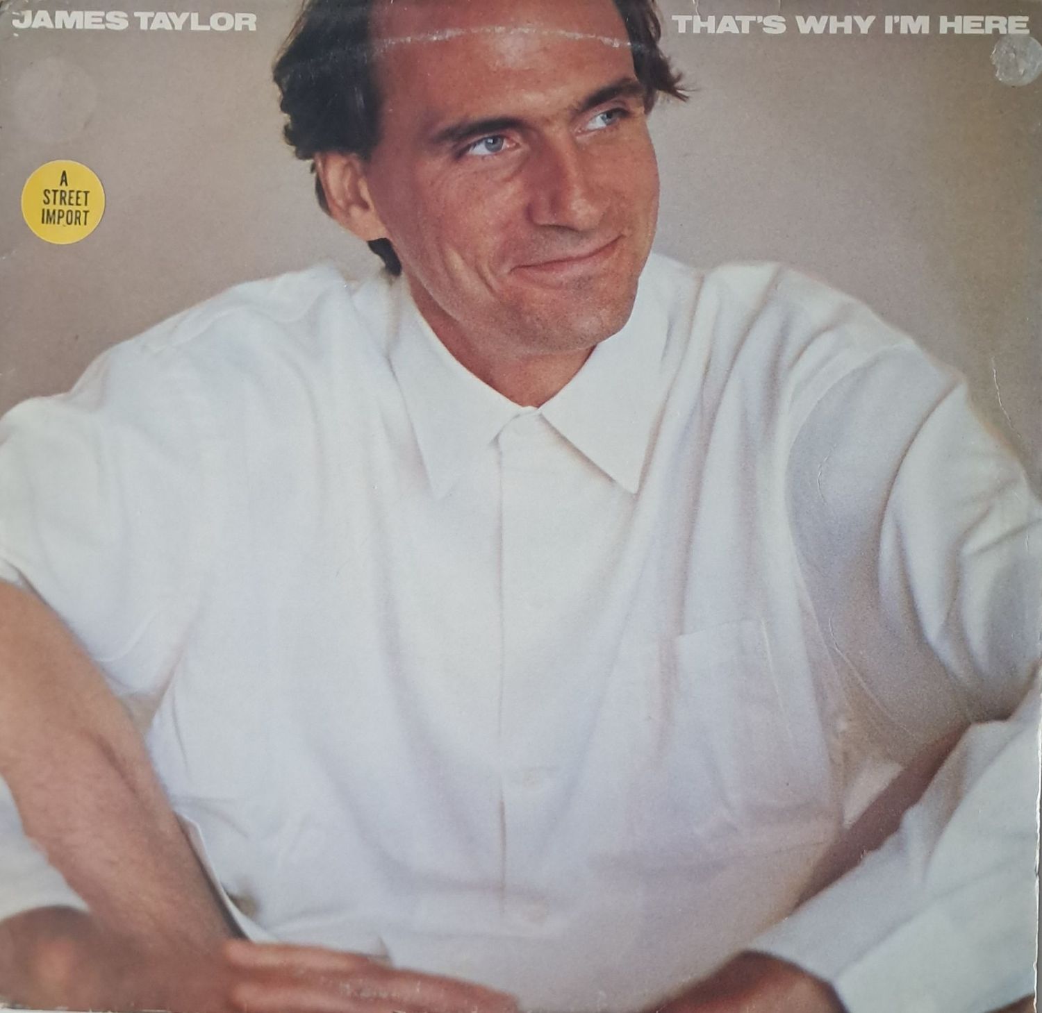 James Taylor (2) – That's Why I'm Here (UK Pressing) (1985)