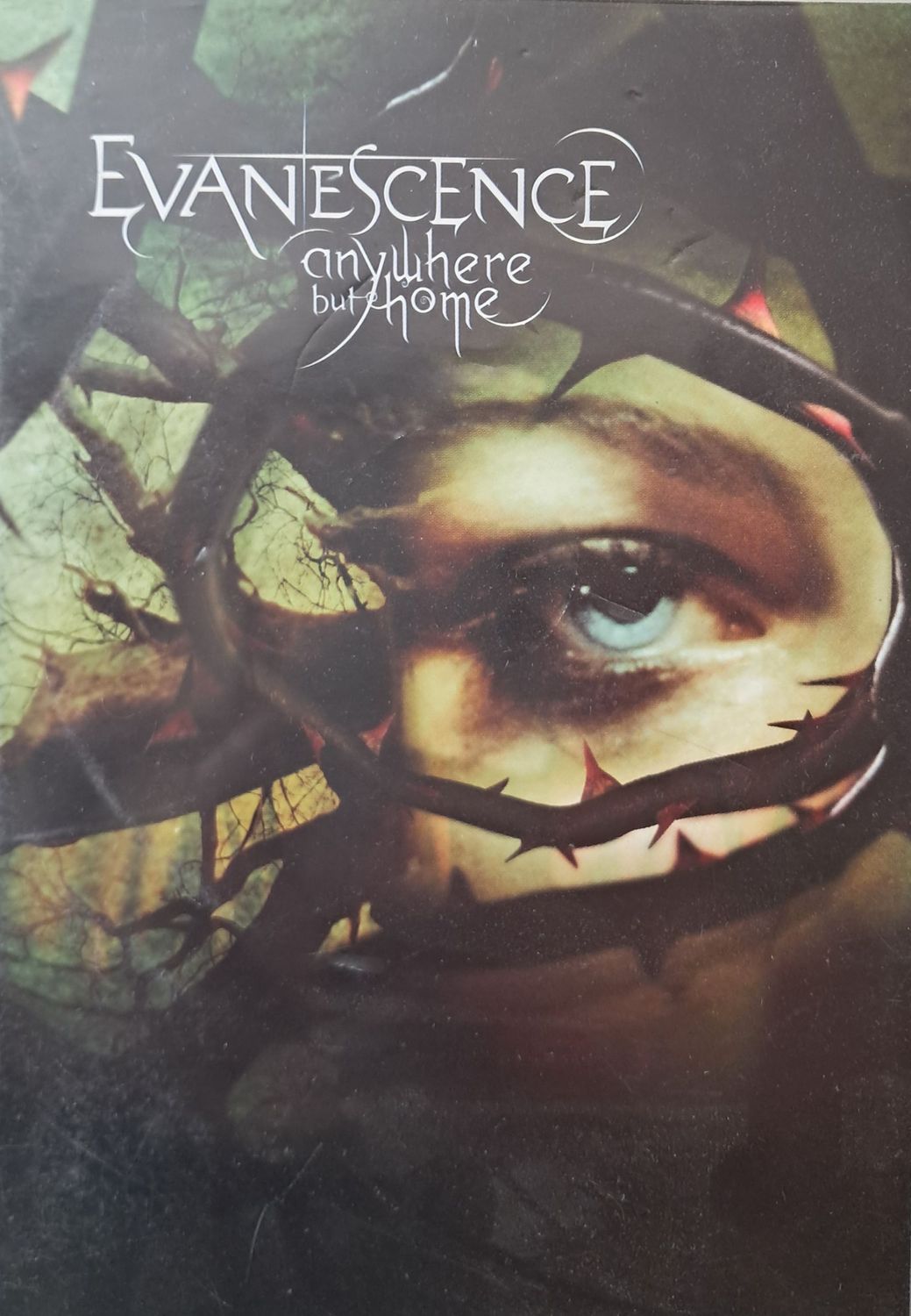 Evanescence – Anywhere But Home (Europe Pressing) (CD+DVD) 2004)